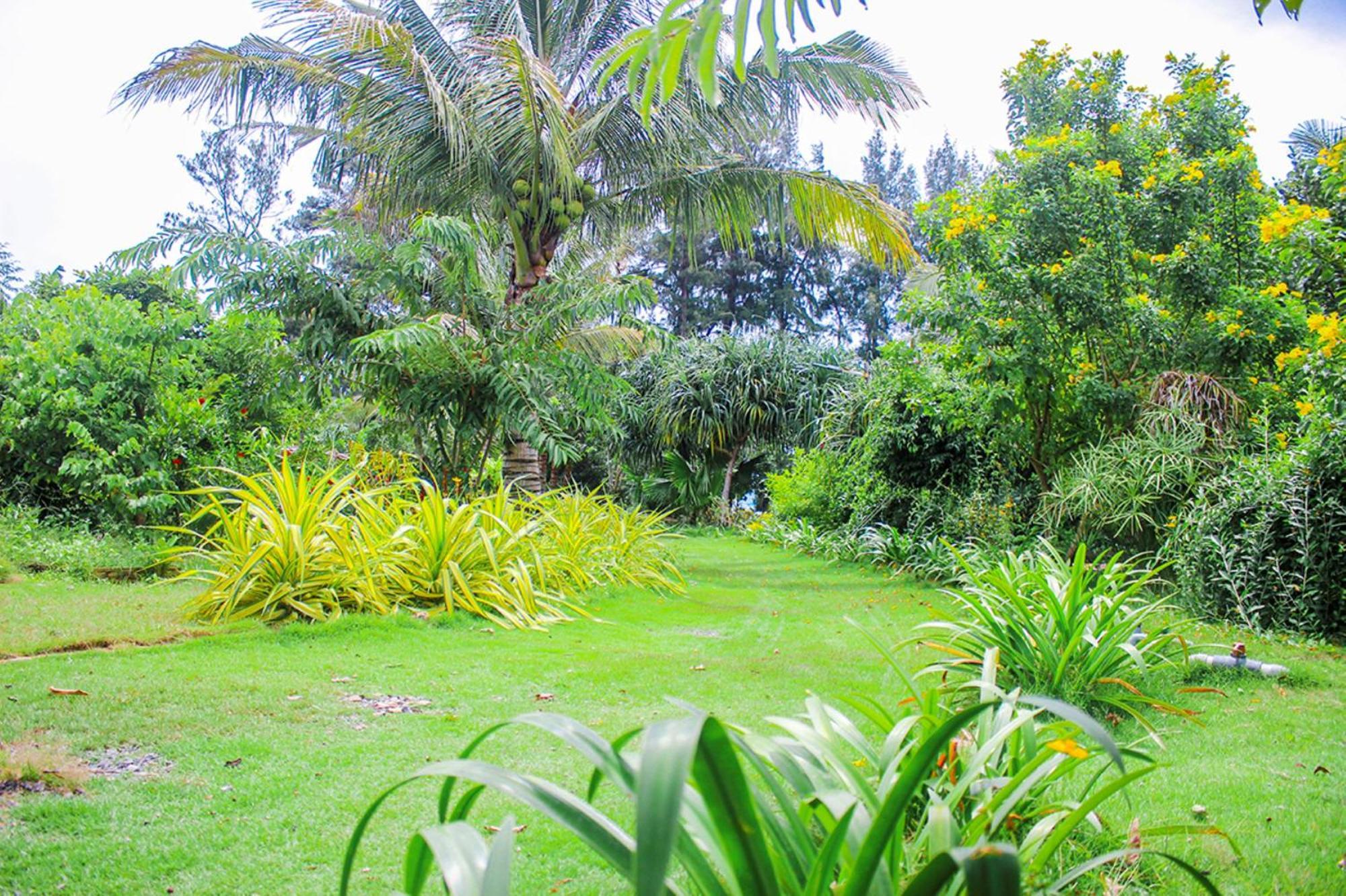 Me Bungalow Beach Resort Phan Thiet Exterior photo